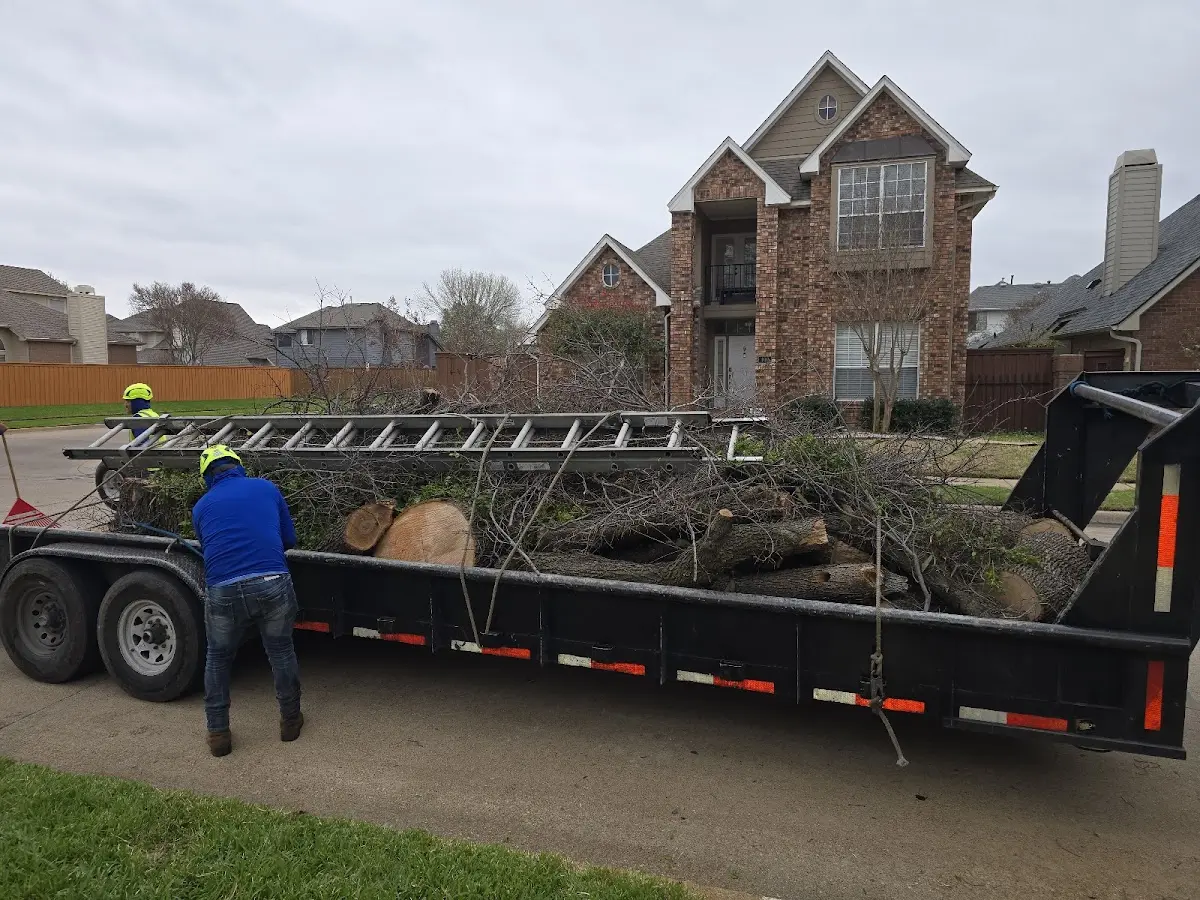 Expert Tree Fertilization with proper safety equipment in Clyman